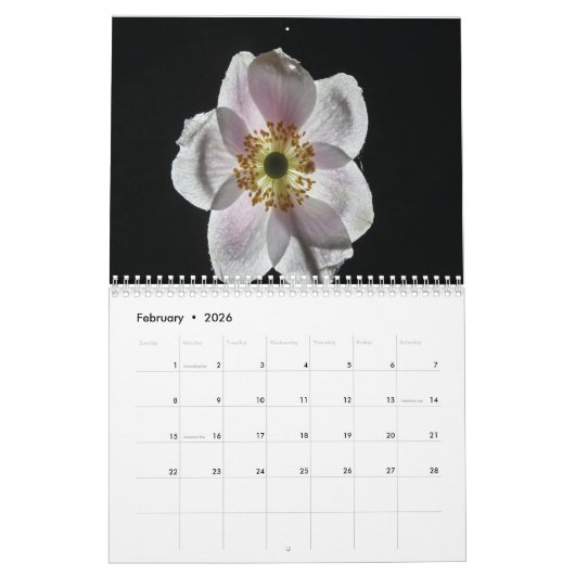 Calendrier des fleurs blanches 202y (Feb 2026)