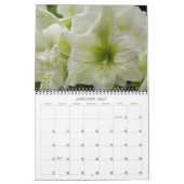 Calendrier des fleurs cultivées (Jan 2027)