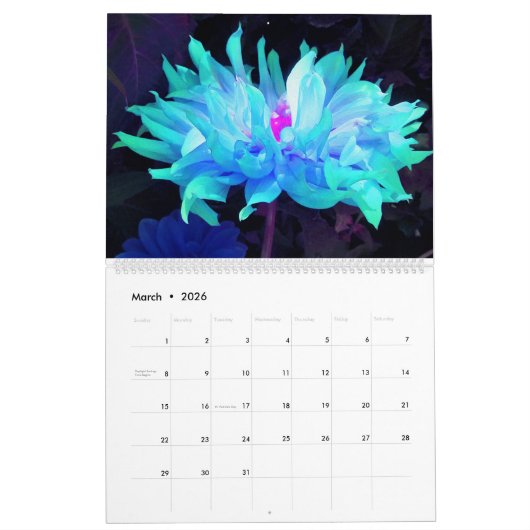 Calendrier des fleurs Dahlia 2024 (Mar 2026)
