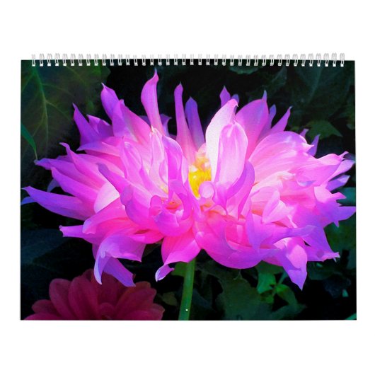 Calendrier des fleurs Dahlia 2024 (Protection)