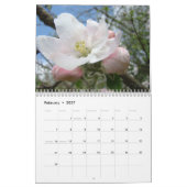 Calendrier des fleurs d'arbre rose Fleurs blanches (Feb 2027)