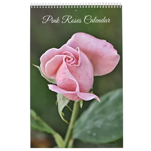Calendrier des fleurs d'art photographique Roses r (Protection)