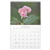 Calendrier des fleurs d'art photographique Roses r (Jan 2027)