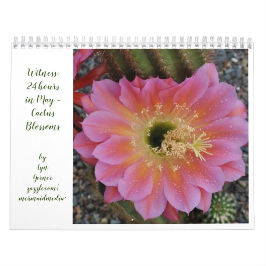 Calendrier des fleurs de cactus (Protection)