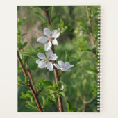 Calendrier des fleurs de Dogwood par Janz (Dos)