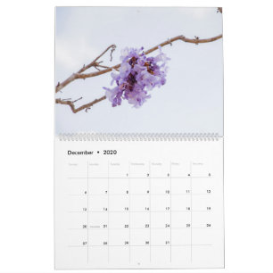 Calendrier des fleurs de Jacaranda