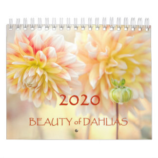 Calendrier des fleurs de la Beauté de Dahlias 2020