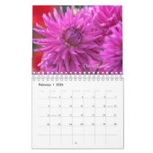 Calendrier des fleurs de la Beauté de Dahlias 2020 (Feb 2026)