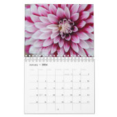 Calendrier des fleurs de la Beauté de Dahlias 2020 (Jan 2026)