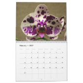 Calendrier des fleurs d'orchidées 2020 (Feb 2027)