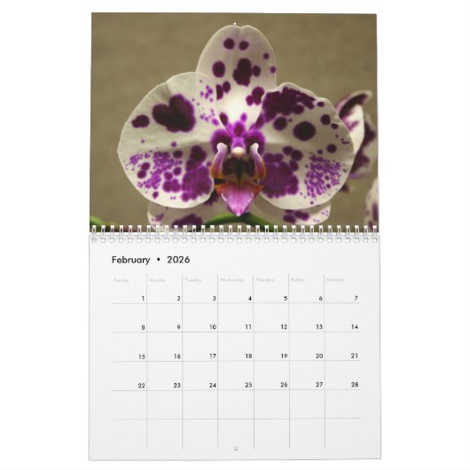 Calendrier des fleurs d'orchidées 2020 (Feb 2026)