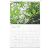 Calendrier des fleurs du jardin (Jan 2027)