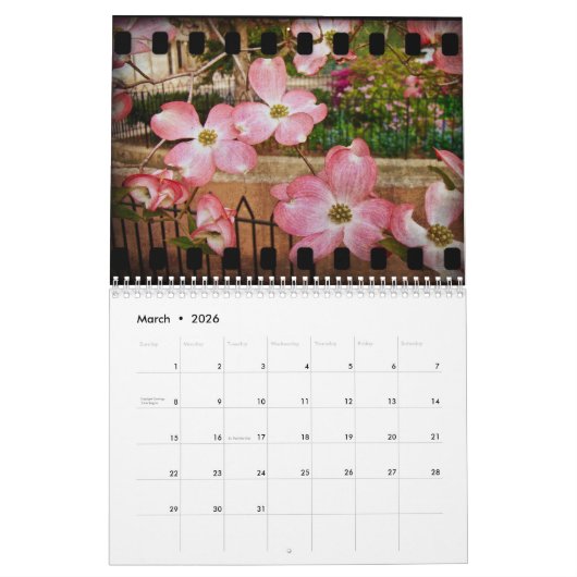 Calendrier des fleurs et des textures (Mar 2026)
