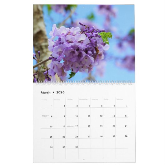 Calendrier des fleurs Jacaranda (Mar 2026)