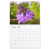 Calendrier des fleurs Jacaranda (Feb 2027)
