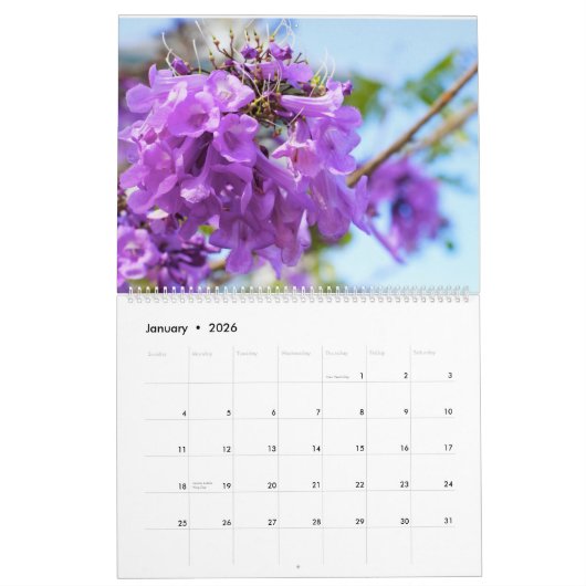 Calendrier des fleurs Jacaranda (Jan 2026)