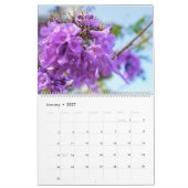 Calendrier des fleurs Jacaranda (Jan 2027)