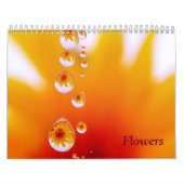 Calendrier des fleurs par Linda Murphy (Protection)