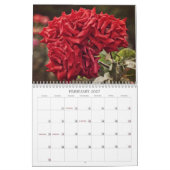 Calendrier des fleurs Roses colorées (Feb 2027)