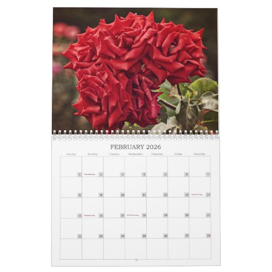 Calendrier des fleurs Roses colorées (Feb 2026)