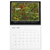 Calendrier des fleurs sauvages 2017 par Thomas (Mar 2026)