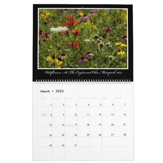 Calendrier des fleurs sauvages 2017 par Thomas (Mar 2026)