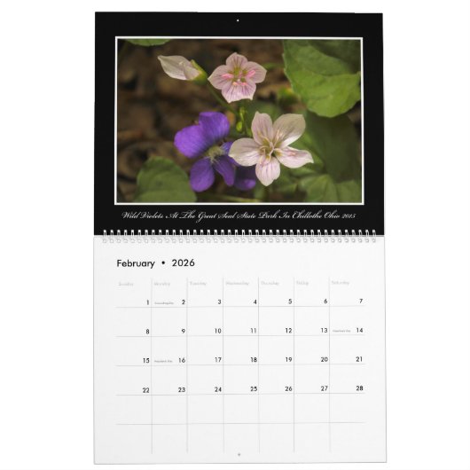 Calendrier des fleurs sauvages 2017 par Thomas (Feb 2026)