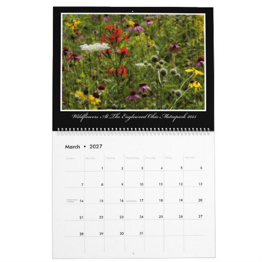 Calendrier des fleurs sauvages 2017 par Thomas (Mar 2027)