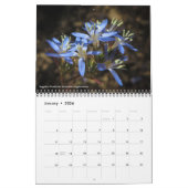 Calendrier des Fleurs sauvages de Californie (Jan 2026)