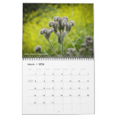 Calendrier des Fleurs sauvages de Californie (Mar 2026)