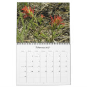 Calendrier des Fleurs sauvages de la Sierra Mounta (Feb 2027)