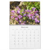 Calendrier des Fleurs sauvages de la Sierra Mounta (Mar 2026)