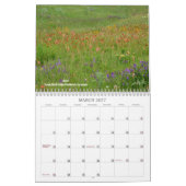 Calendrier des fleurs sauvages du Texas (Mar 2027)