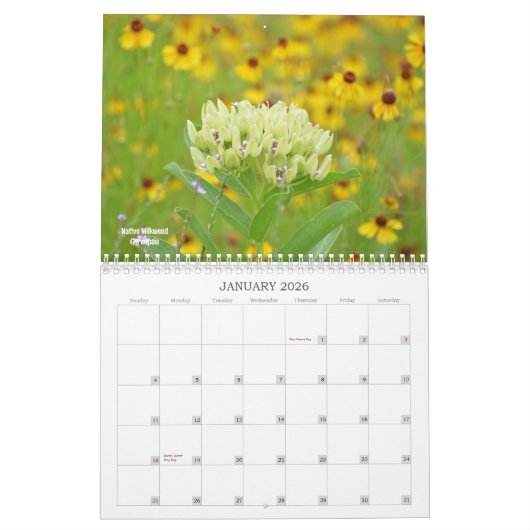 Calendrier des fleurs sauvages du Texas (Jan 2026)