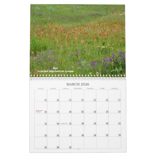 Calendrier des fleurs sauvages du Texas (Mar 2026)
