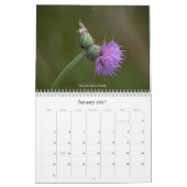 Calendrier des fleurs sauvages du Texas (Jan 2027)