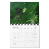 Calendrier des fleurs sauvages finlandaises (Feb 2027)