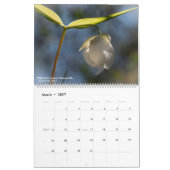 Calendrier des Fleurs sauvages occidentaux (Mar 2027)