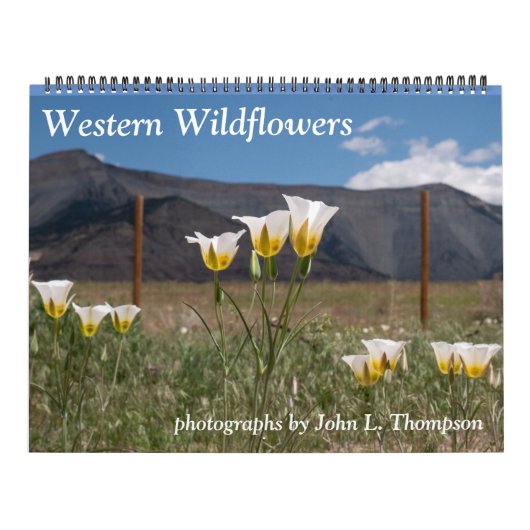 Calendrier des Fleurs sauvages occidentaux (Protection)