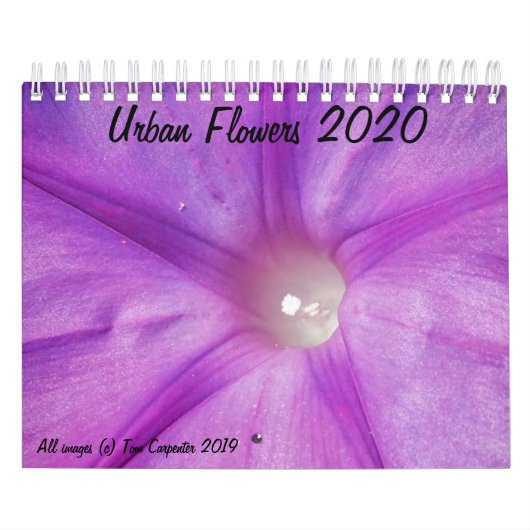 Calendrier des fleurs urbaines 2020 (Protection)
