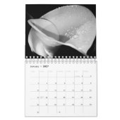 Calendrier des fleurs urbaines 2020 (Jan 2027)