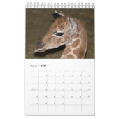 Calendrier des girafes (Mar 2027)