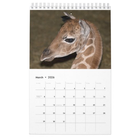 Calendrier des girafes (Mar 2026)