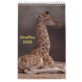 Calendrier des girafes (Protection)