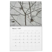 Calendrier des glaces et des hivernages (Feb 2027)
