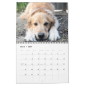 Calendrier des Golden Retriever ParkerPup et Frien (Mar 2027)