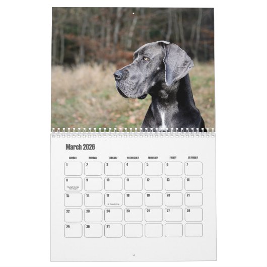 Calendrier des grandes danses (Mar 2026)