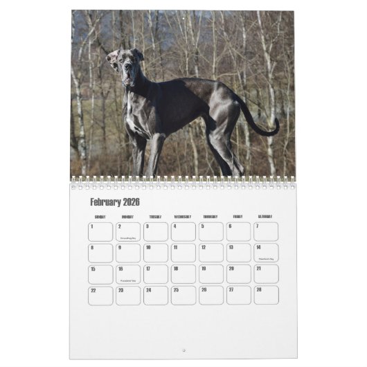 Calendrier des grandes danses (Feb 2026)