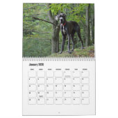 Calendrier des grandes danses (Jan 2026)