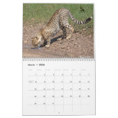 Calendrier des grands chats 2023 (Mar 2026)